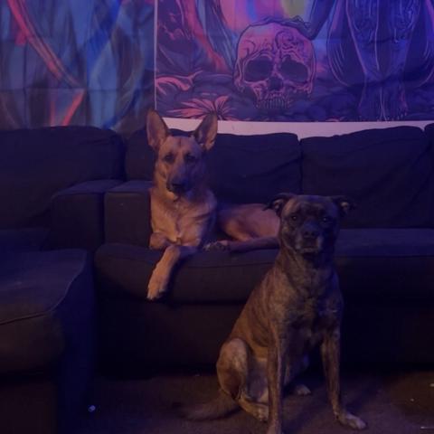 Photo for 160538 [Titus]