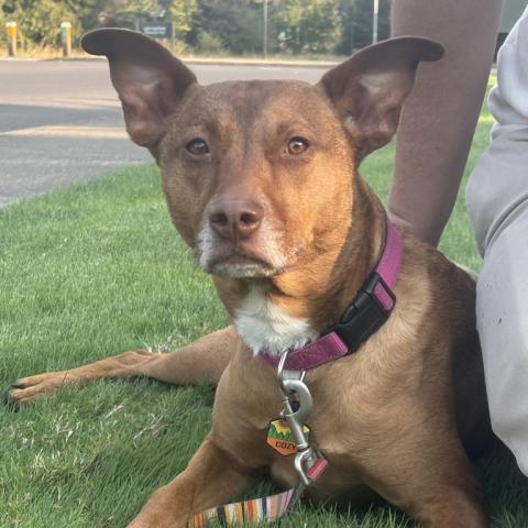 Photo for 160577 [Cozy]