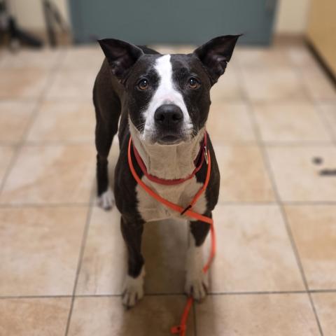 Photo for 160592 [Zephyr]