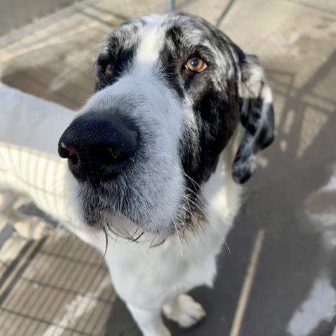 Photo for 160605 [Louie]