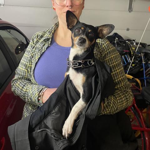 Photo for 160623 [fr160623]