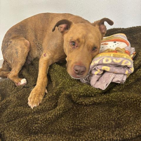 Photo for 160625 [fr160625]