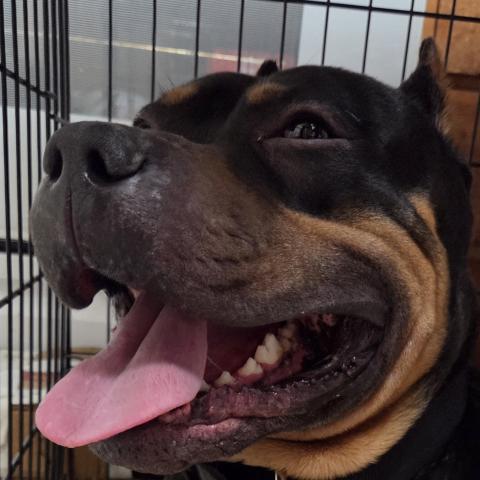 Photo for 160629 [fr160629]