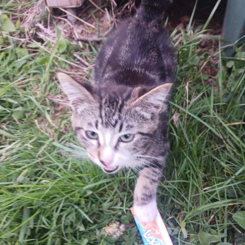 Photo for 160641 [fr160641]