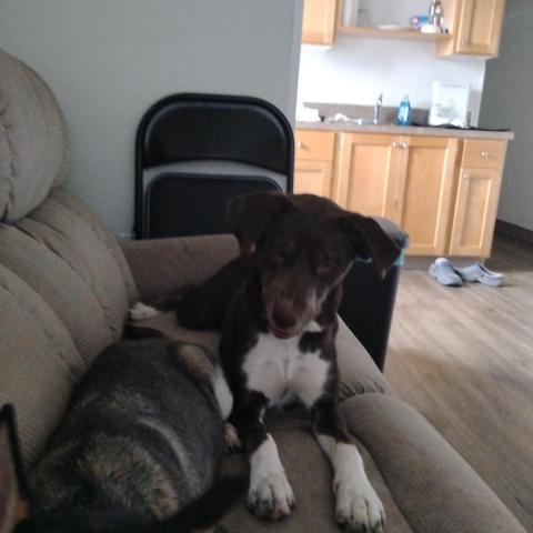 Photo for 160643 [Molly ]