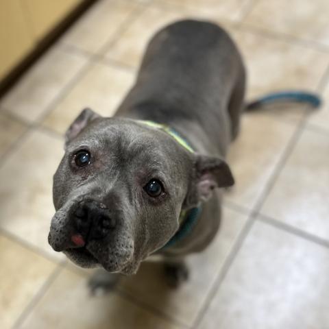 Photo for 160669 [Gloria]