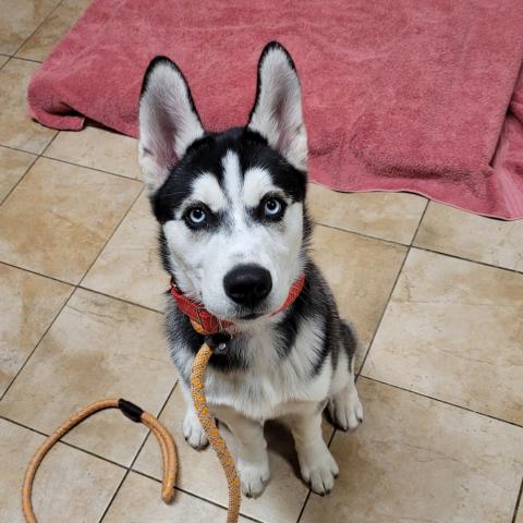 Photo for 160701 [Explorer]