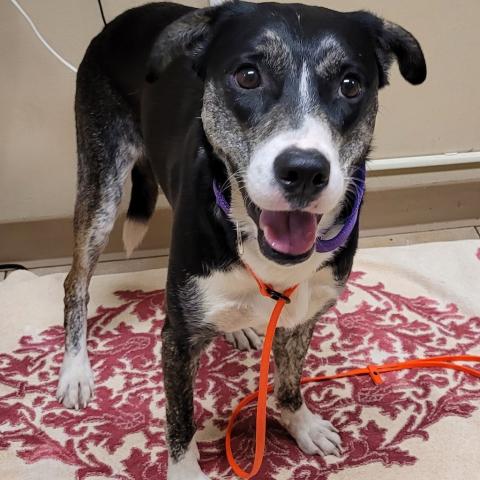 Photo for 160714 [Quinn]