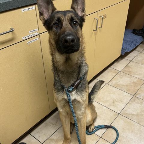 Photo for 160718 [Soju]