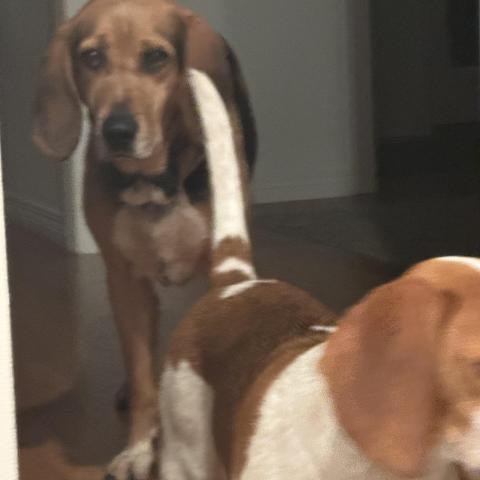 Photo for 160725 [Tracer]