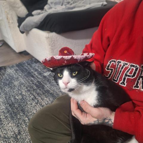 Photo for 160727 [Percy]