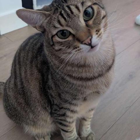 Photo for 160736 [Salvador ]