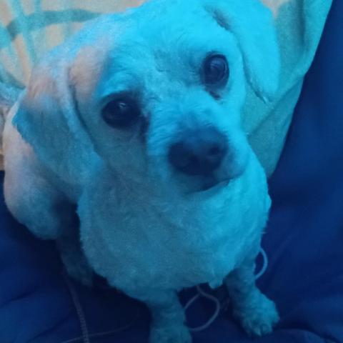 Photo for 160753 [Unknown ]