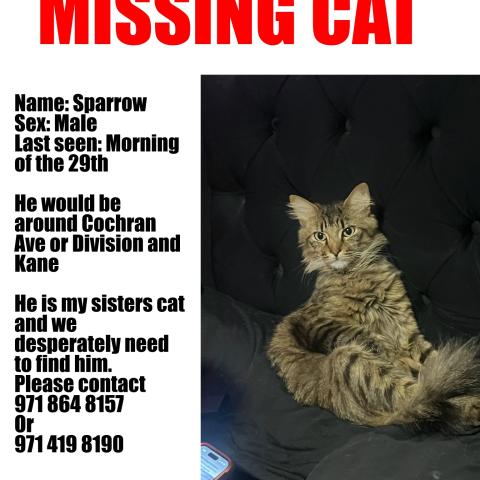 Photo for 160755 [Sparrow]