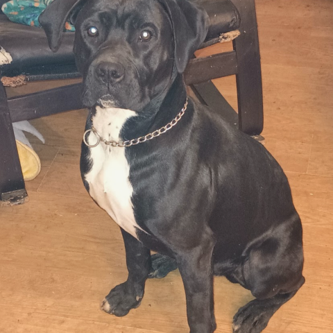 Photo for 160767 [Boy]