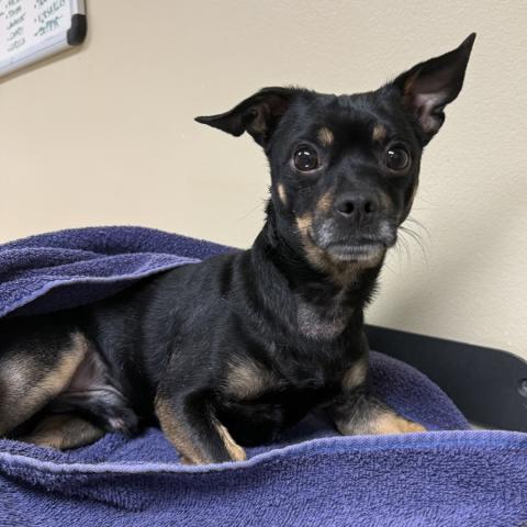 Photo for 160769 [Excursion]