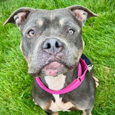 Photo for 160773 [Xochitl (hula)]