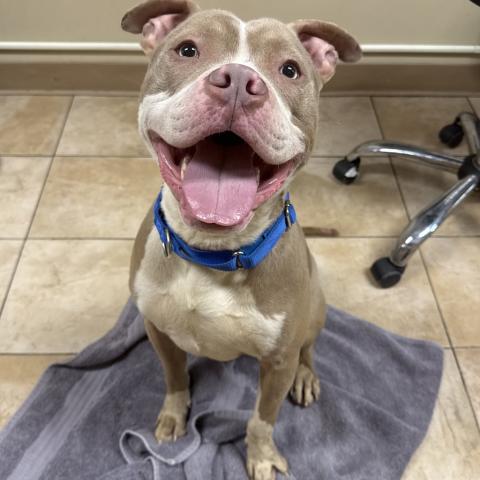 Photo for 160774 [Airbender]