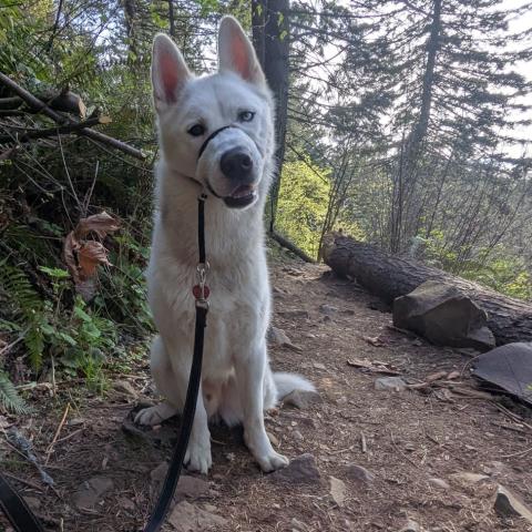 Photo for 160804 [Enzo]