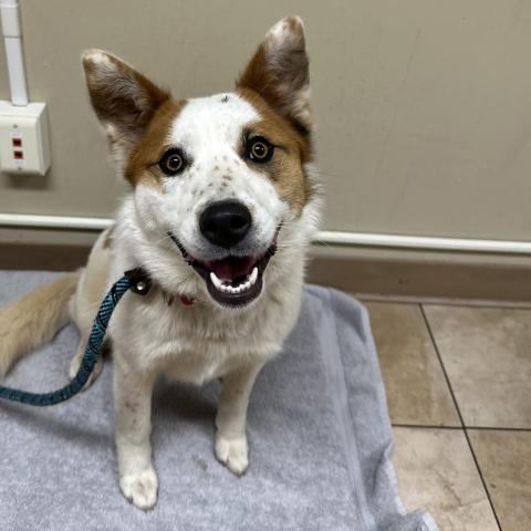 Photo for 160812 [Persephone]