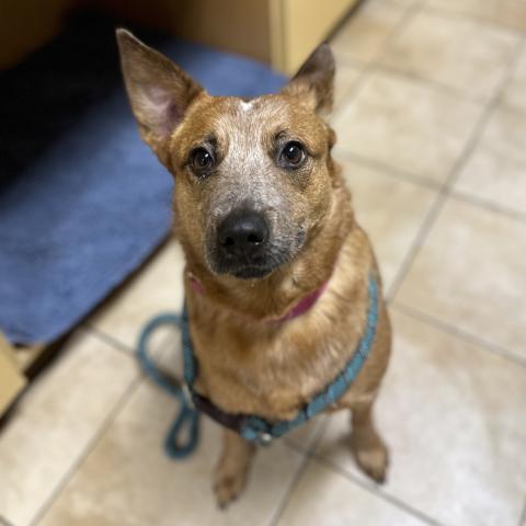 Photo for 160816 [Sierra]