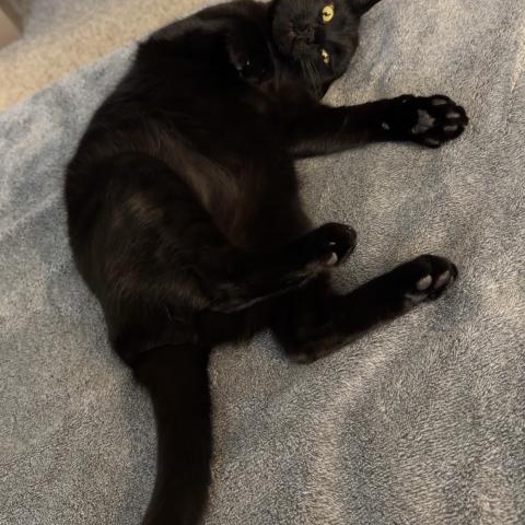 Photo for 160822 [Leo]