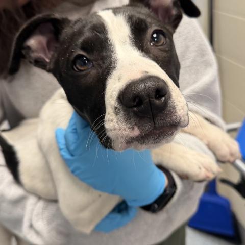 Photo for 160829 [Jellybean]