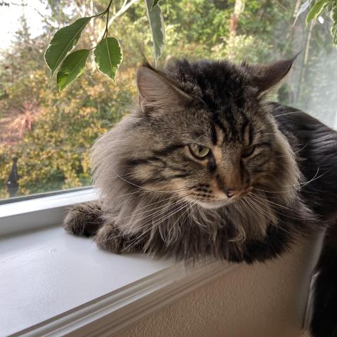 Photo for 160860 [Tommie]