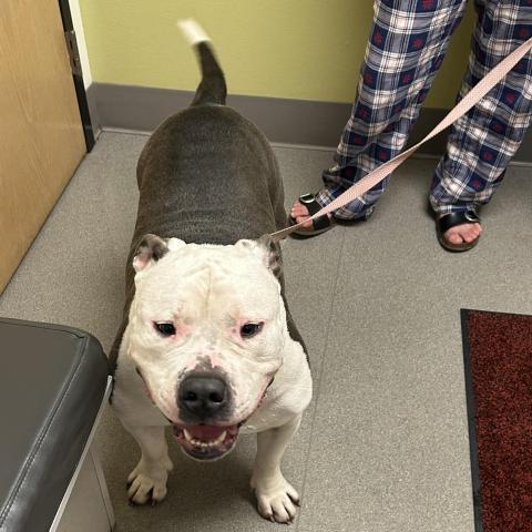 Photo for 160864 [250281]