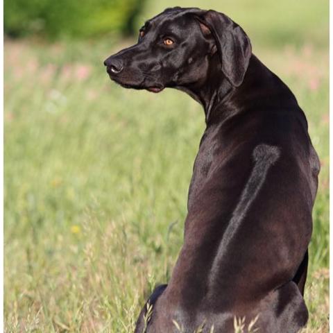 Photo for 160866 [Girlie]