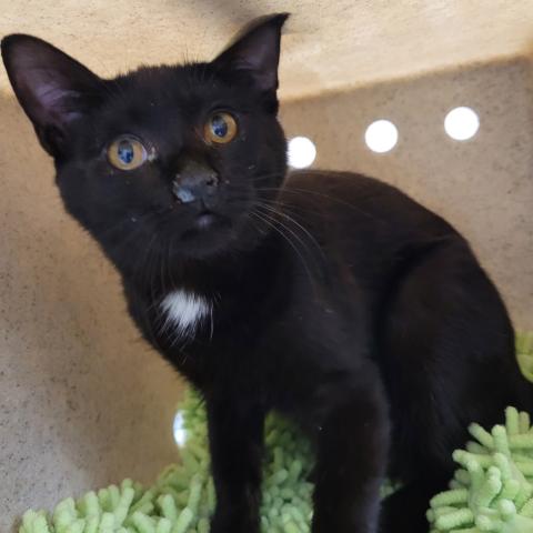 Photo for 160901 [Hippity]