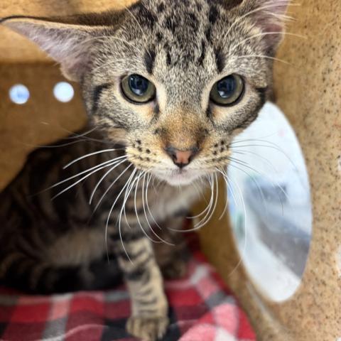 Photo for 160903 [Dutch Bro]