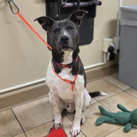 Photo for 160907 [Ace]