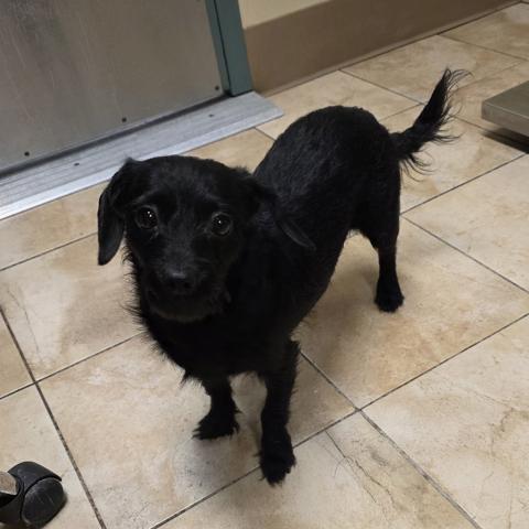 Photo for 160909 [Pitter]