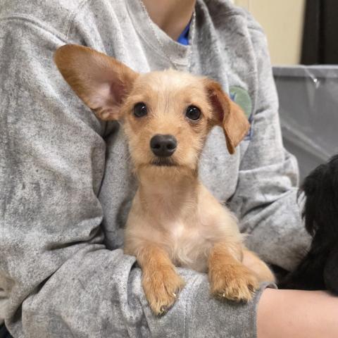 Photo for 160911 [Patter]