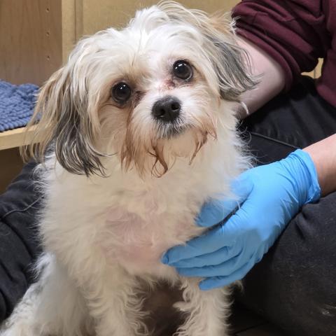 Photo for 160917 [Peter Cottontail]