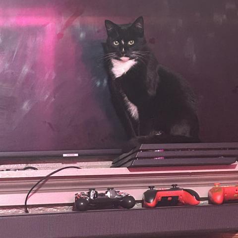 Photo for 160922 [Azrella ]