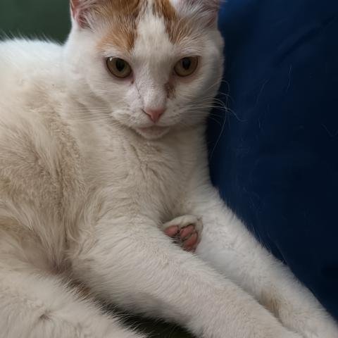 Photo for 160940 [Unknown]