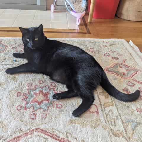 Photo for 160948 [Margaux]