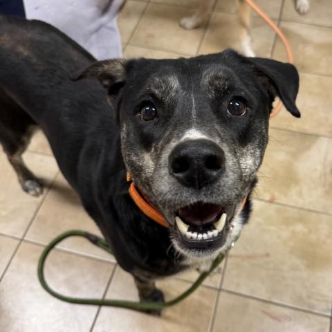 Photo for 160966 [Tacoma]