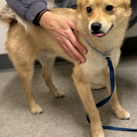 Photo for 160995 [fr160995]