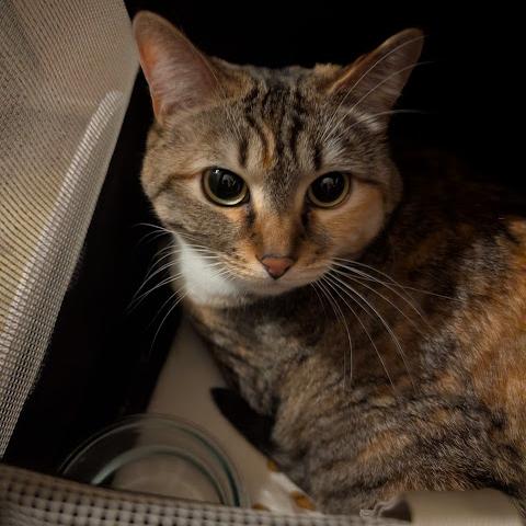 Photo for 161017 [fr161017]