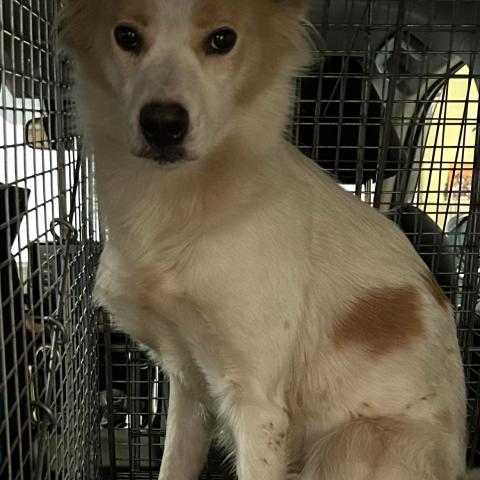 Photo for 161019 [fr161019]