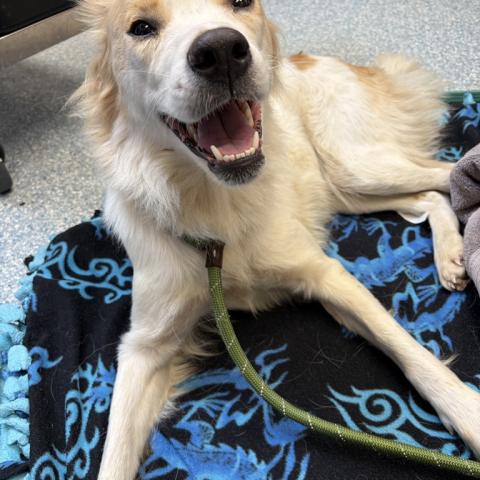 Photo for 161023 [Tonya]