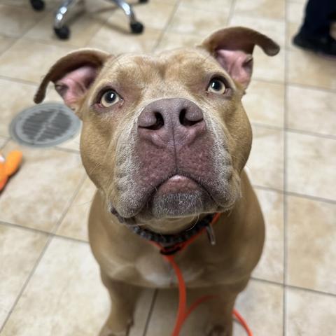 Photo for 161041 [London]