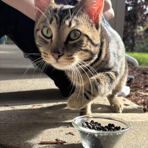 Photo for 161080 [fr161080]