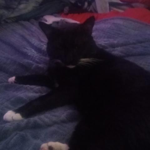 Photo for 161082 [clouse]