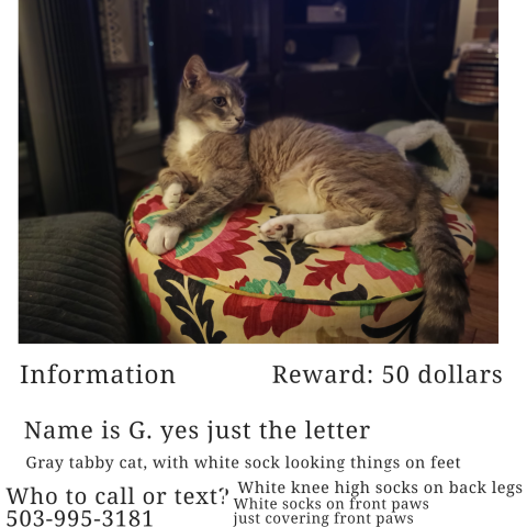 Photo for 161084 [G]