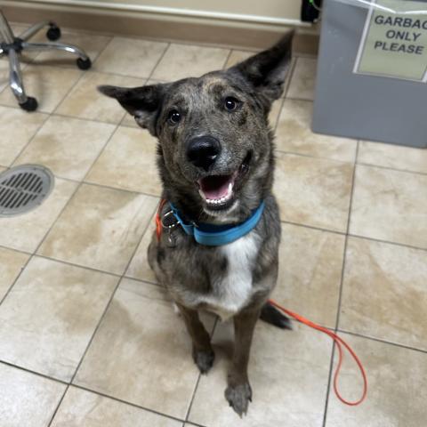 Photo for 161148 [Baby Girl]