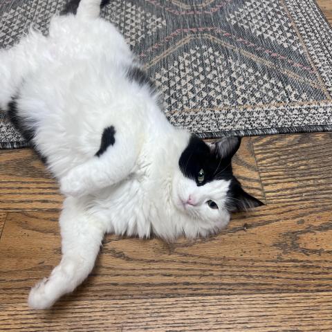 Photo for 161212 [Rosey]